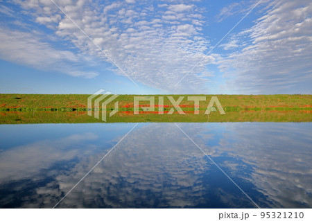 岐阜県海津市南濃町津屋　彼岸花が咲き始めた津屋川堤防の水面の反射 95321210