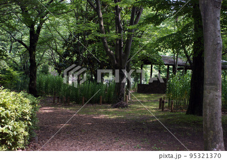 静かな古閑風風景 静かな古閑風風景 95321370