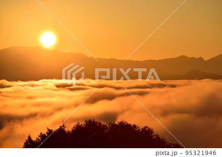 野迫川村の雲海 野迫川村の雲海 95321946