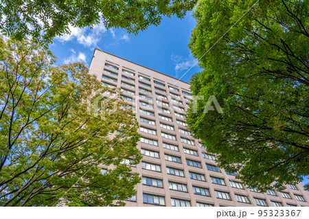 宮城県庁舎 95323367