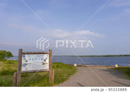 ウトナイ湖 95323889