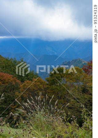 大台ケ原ドライブウエイからの眺望 近景のすすきからもみじ、遠景の山並み 大台ケ原ドライブウエイからの眺望 近景のすすきからもみじ、遠景の山並み 95324319