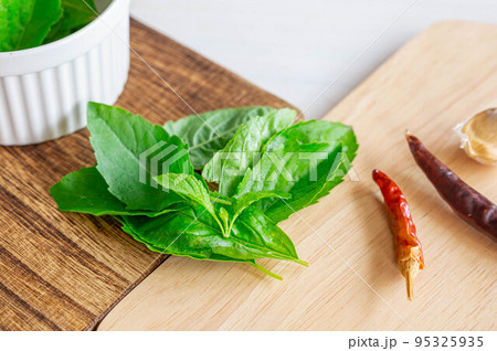 ホーリーバジルの葉 95325935