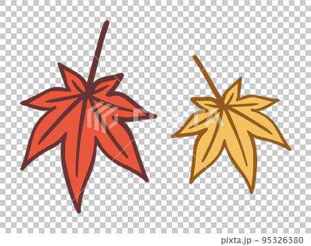 Two maple leaves, autumn leaves season, autumn tradition 95326380