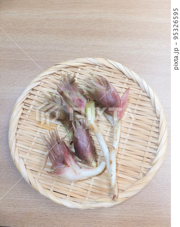 収穫した自家栽培のみょうが 収穫した自家栽培のみょうが 95326595