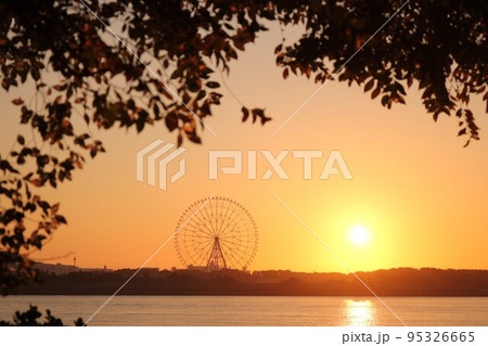 葛西臨海公園の観覧車と朝日と船と鳥 95326665