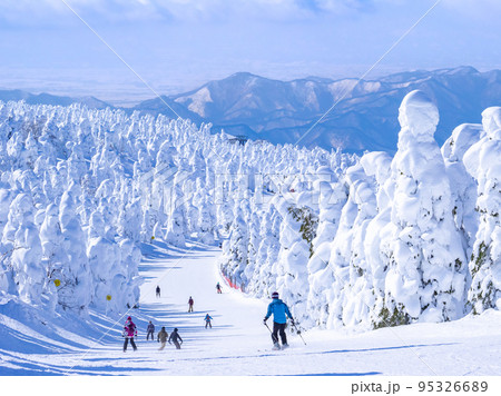 樹氷原の中を滑走する人々 (山形県、蔵王温泉スキー場) 樹氷原の中を滑走する人々 (山形県、蔵王温泉スキー場) 95326689