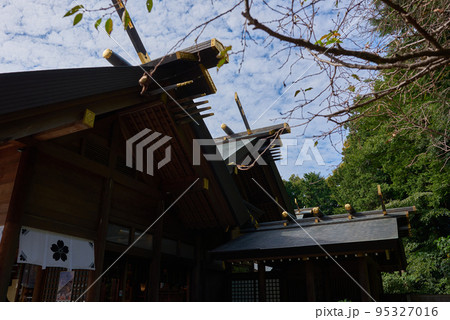 桜木神社　千葉県 95327016