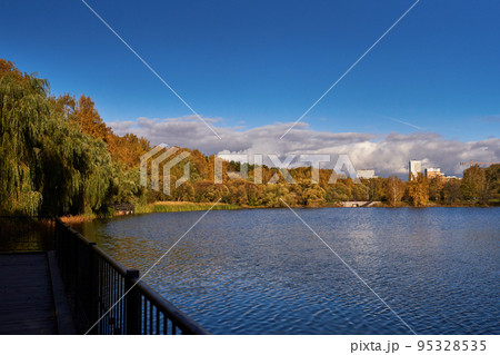 Pond surrounded by yellow trees in afternoon. 95328535