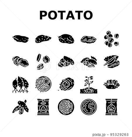 potato sweet food yam orange icons set vector 95329263