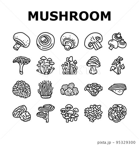 mushroom food forest fungi icons set vector mushroom food forest fungi icons set vector 95329300