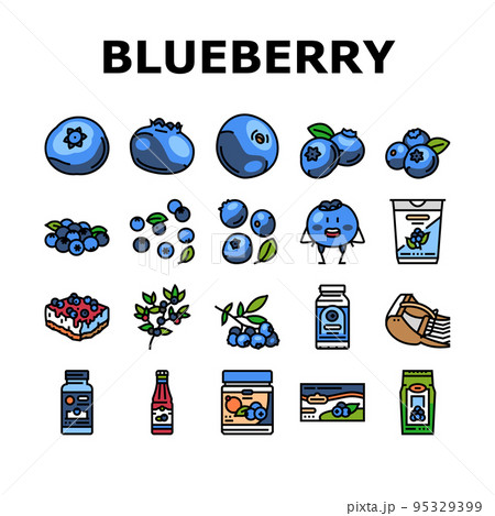 blueberry biberry blue berry icons set vector - Stock Illustration