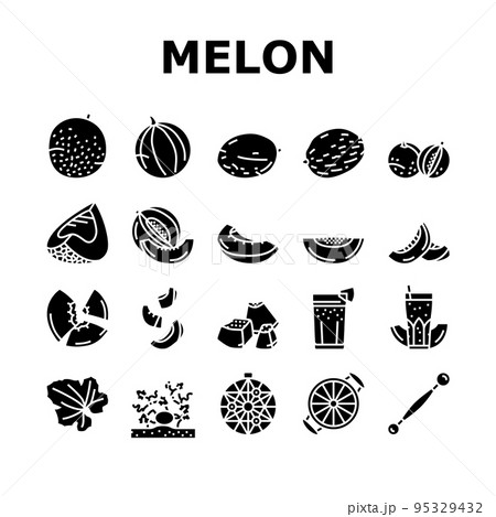 melon cantaloupe yellow fruit icons set vector 95329432