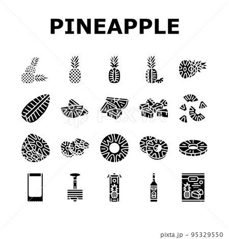 pineapple fruit tropical food icons set vector 95329550