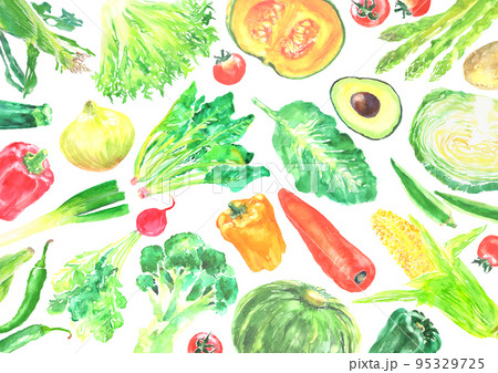 水彩で描いた色々な新鮮な野菜の背景イラスト 95329725