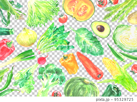 水彩で描いた色々な新鮮な野菜の背景イラスト 95329725