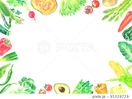 水彩で描いた色々な新鮮な野菜のフレームイラスト 95329729