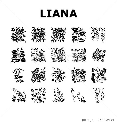 Vine Liana Exotic Growing Plant Icons Set Vector Vine Liana Exotic Growing Plant Icons Set Vector 95330434