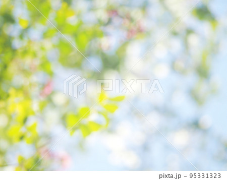 グリーンの玉ぼけ　背景素材 95331323