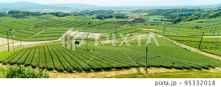 香り高き絶景スポット「八女中央大茶園」観光名所:見渡す限り緑のじゅうたん風景 香り高き絶景スポット「八女中央大茶園」観光名所:見渡す限り緑のじゅうたん風景 95332018