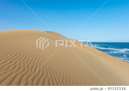 砂嵐で出来た風紋（鳥取砂丘） 95332538