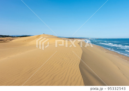 砂嵐で出来た風紋（鳥取砂丘） 95332543