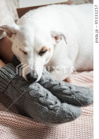 Legs of a young girl in cozy knitted socks 95333257