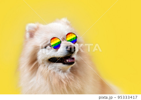 A woman is reading a book and stroking a rabbit sitting on her lap. Close-up of the animal's face. Concept of reading and relaxing 95333417