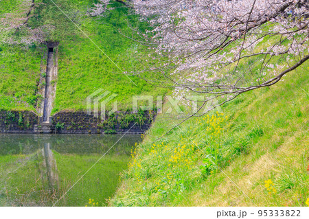 【東京の都市風景】千鳥ヶ淵付近の桜 95333822