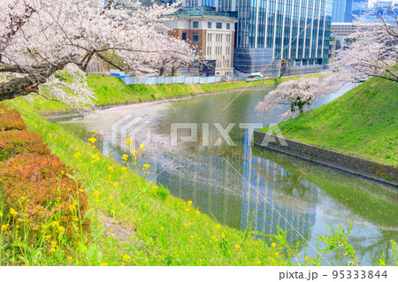 【東京の都市風景】千鳥ヶ淵付近の桜 95333844