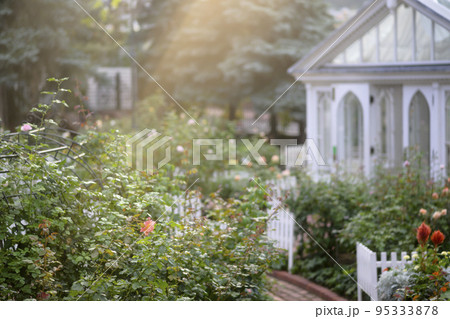 光が降り注ぐバラ園のイメージカット 95333878