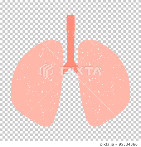 hand drawn illustration of lungs 95334366