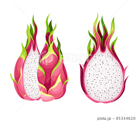 Pitaya or Pitahaya Fruit of Cactus Species with White Flesh and Black, Crunchy Seed Vector Set 95334620