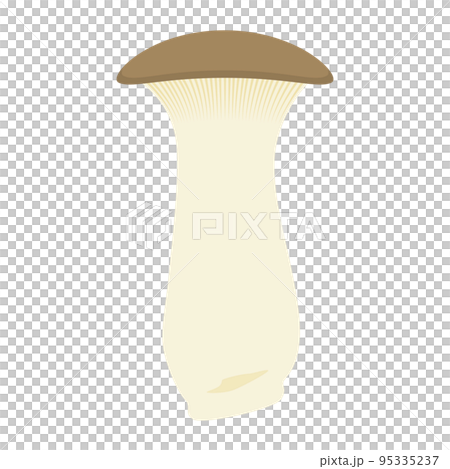 Elingi插圖 95335237