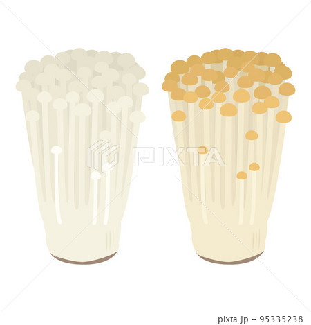 えのきのイラスト 95335238