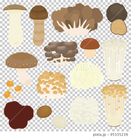 Mushroom illustration set 95335239