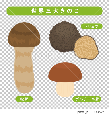 Illustration of the world's three largest mushrooms 95335240