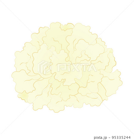 はなびらたけのイラスト 95335244