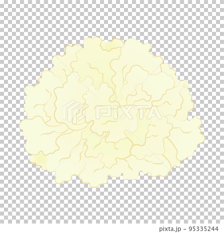 はなびらたけのイラスト 95335244