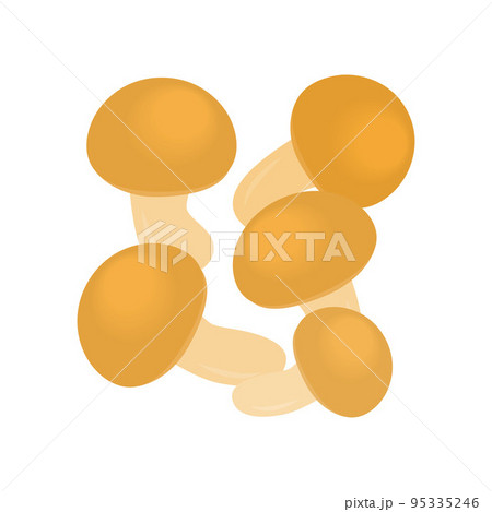 なめこのイラスト 95335246