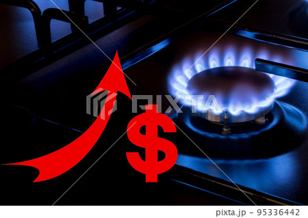 Gas burner on black modern kitchen stove with dollar sign 95336442