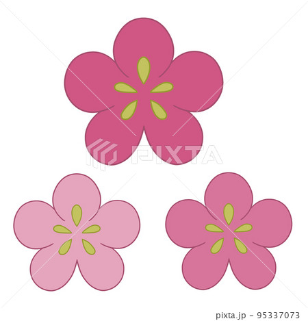 梅の花 95337073