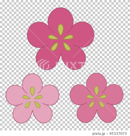 梅花 95337073