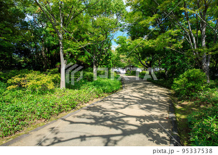 庭園へ続く木漏れ日の影が美しい道 95337538