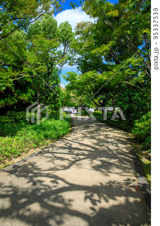 庭園へ続く木漏れ日の影が美しい道 95337539