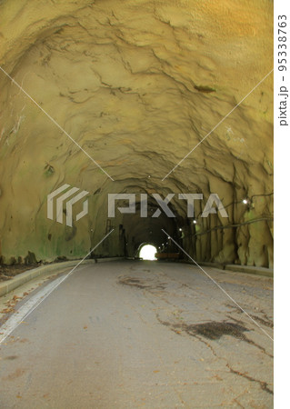 ゴソクジョン 95338763