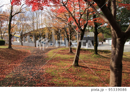 秋の公園（太閤山ランド　※富山県 射水市） 95339086