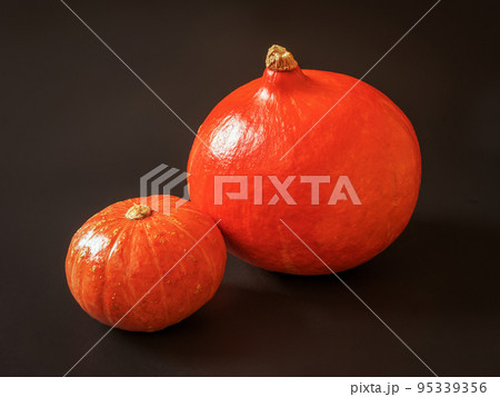 Two pumpkins isolated on the dark background. Close-up 95339356
