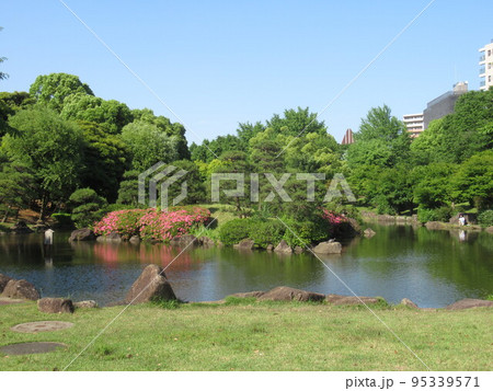 隅田公園（墨田区）の日本庭園 95339571