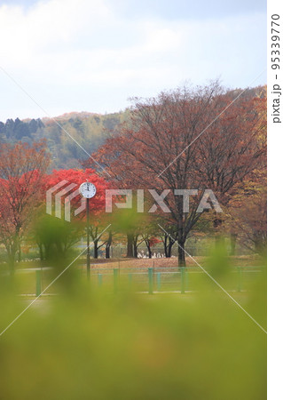 秋の森の公園（太閤山ランド　※富山県 射水市） 95339770